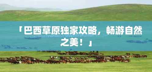 「巴西草原独家攻略，畅游自然之美！」