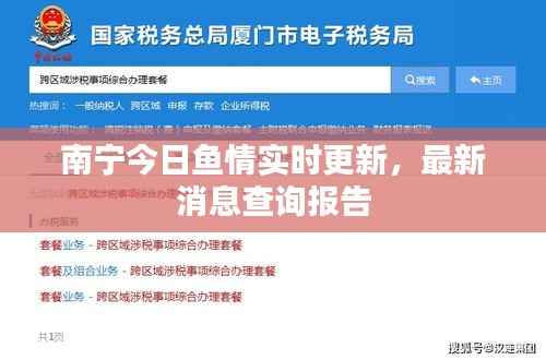 南宁今日鱼情实时更新，最新消息查询报告