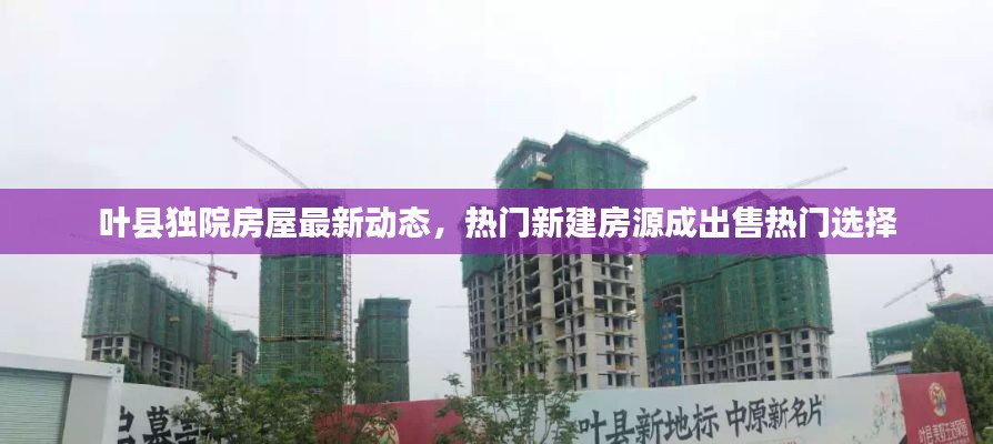 鸟飞兔走 第4页